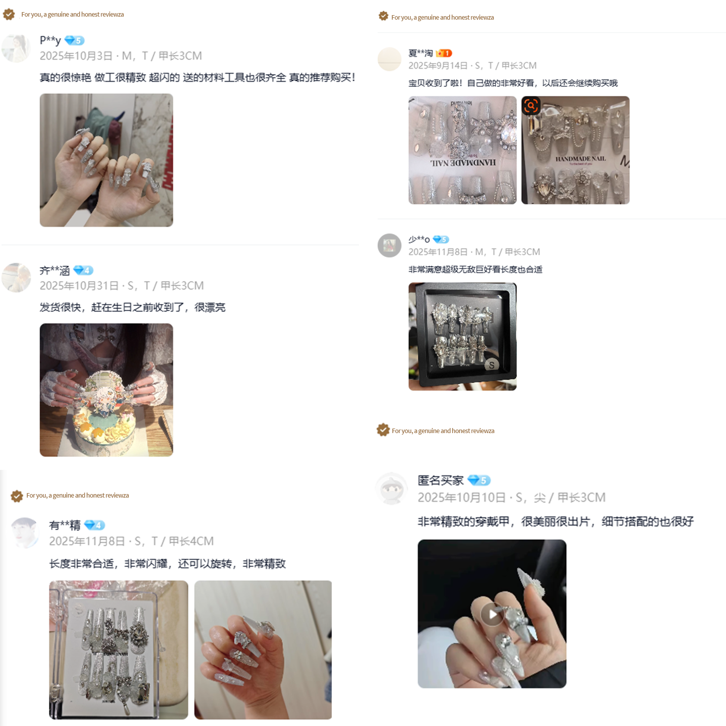 Silver Frost Rose Press-On Nails – Diamond Whisper Design